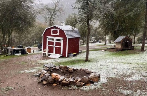 Squaw Valley Cabin | The Cozy Tiny Shabin Cabin