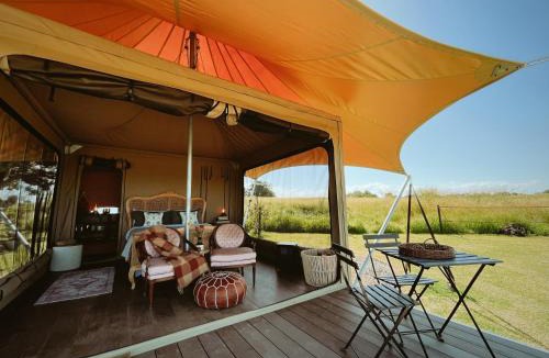 Haigslea Other | The Forager Glamping at Twigley Farm