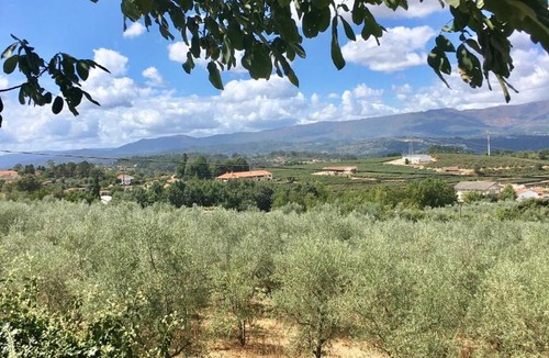 Sao Tiaguinho Hotel | The Hideaway at Quinta de Moçamedes - Suites & Apartments