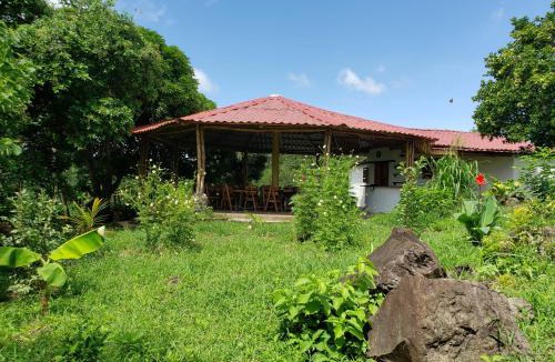 Merida Cabin | The Jungle