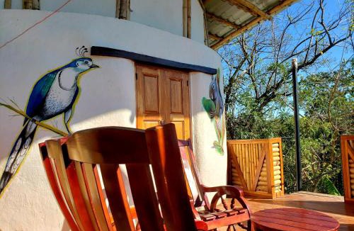 Merida Cabin | The Jungle