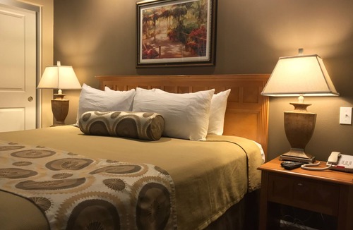 Palm Springs Hotel | The Oasis