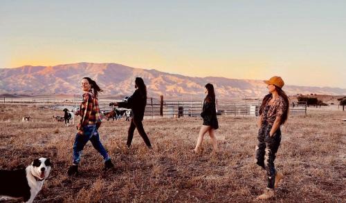New Cuyama Other | The Pink Pony Yurt, New Cuyama, CA