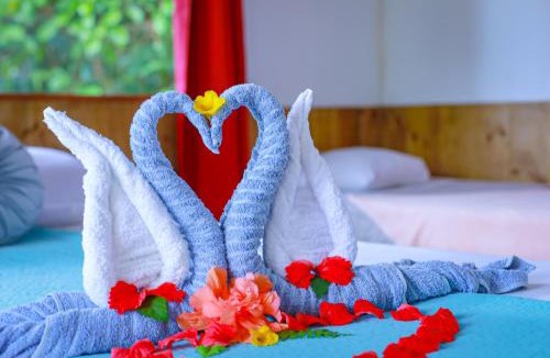 Drake Bay Hotel | The Sunset Tucano Lodge