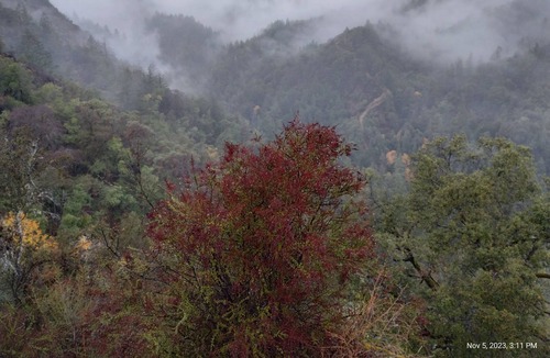 Cloverdale Cabin | "The Treehouse" Cabin on 275 acres with Private Hiking Trails, Wineries nearby.