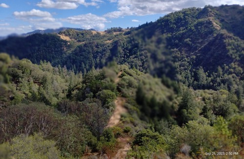 Cloverdale Cabin | "The Treehouse" Cabin on 275 acres with Private Hiking Trails, Wineries nearby.