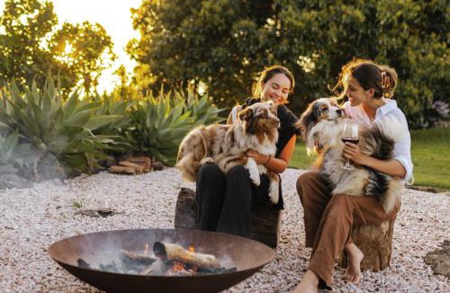 Wolvi House | The Wolvi House - Scenic Mountain Retreat