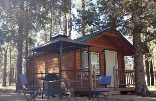 Woodlands Cabin | Tiny House in the Forest