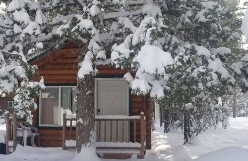 Woodlands Cabin | Tiny House in the Forest
