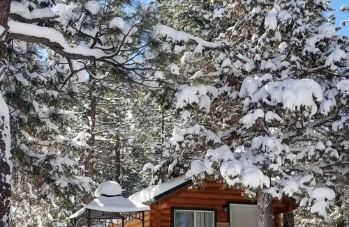 Woodlands Cabin | Tiny House in the Forest