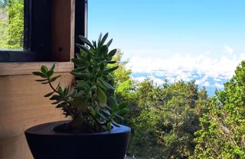 Rivas Cabin | Tiny House Jaulares
