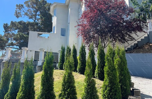 Burlingame Hills House | Tranquil Big and Bright 3-bedroom Burlingame Hills Bay View Home