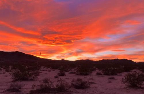 Joshua Tree Other | Tribal Camp- BRING YOUR OWN TENTS