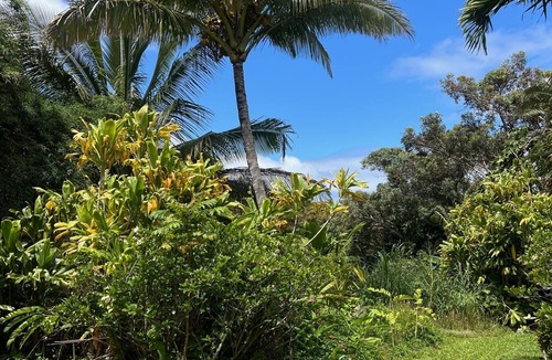 Pauwela Apartment | Tropical Fruit Farm Sanctuary