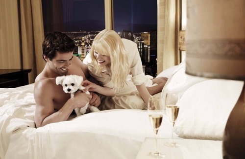 Las Vegas Resort | Trump International Hotel Las Vegas