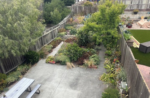 Outer Richmond Condo | Two bedrooms with private bathrooms by Golden Gate Park & Ocean Beach