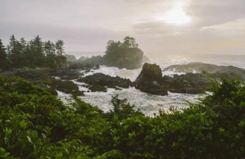 Ucluelet House | Tyee Retreat Cozy Lofted 1 Bedroom Cabin