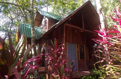 Uvita Cottage | Uvita Tree House! No Cleaning Fee!