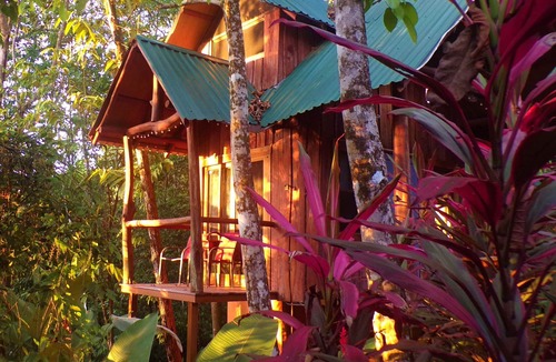 Uvita Cottage | Uvita Tree House! No Cleaning Fee!