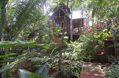 Uvita Cottage | Uvita Tree House! No Cleaning Fee!
