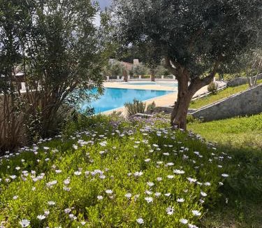Alcacer do Sal Resort | Vila Nova de Santa Susana Alentejo Resort