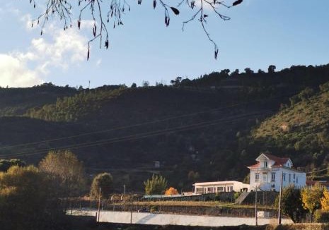 Seia House | Villa Alzira