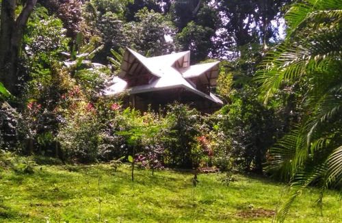 Cocles Villa | Villa Colibrí