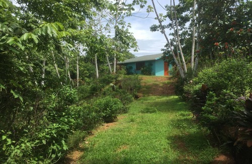Drake Bay House | Villa with primary forest view