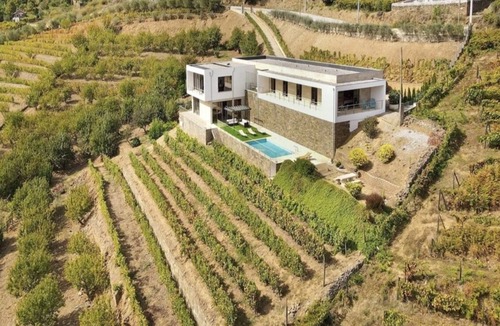 Baiao Villa | Villa with pool in the Douro Valley