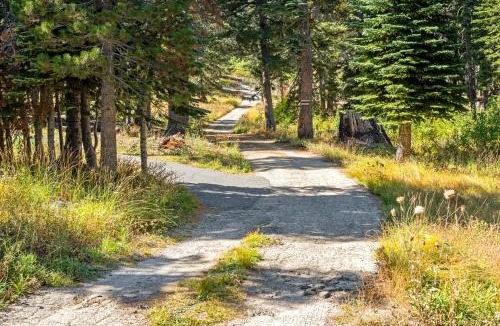 Bear Valley House | Walk to the Lake - Ski in out Amazing 5 Bdrm - VH#343