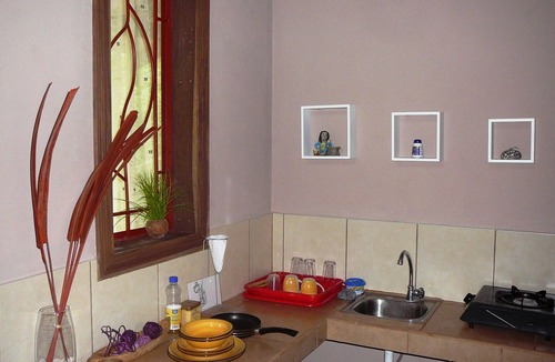 Cocles Apartment | Welcome to the jungle! stylish jungle view apartments for nature lovers