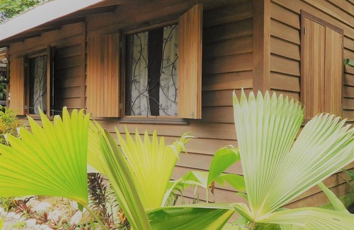 Cocles Apartment | Welcome to the jungle! stylish jungle view apartments for nature lovers