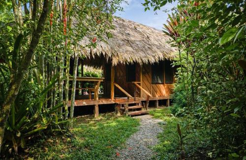 Cahuita Cabin | Wildlife Lodge Cahuita