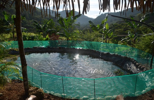Pejibaye House | Your tropical getaway in the beautiful southern Pacific mountains of Costa Rica.