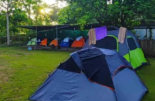 Palma Hotel | Zompopas Trail