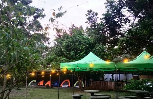 Palma Hotel | Zompopas Trail