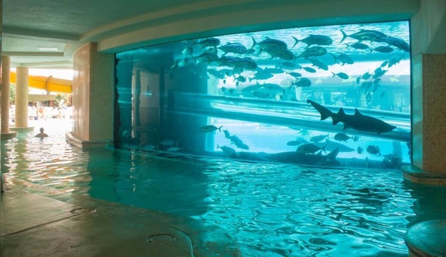 2 x Carson Tower - Deluxe Doubles Room at Golden Nugget Las Vegas