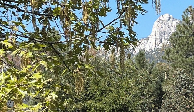 3-Bedrooms in Idyllwild - AC, Jacuzzi, Sauna, Fitness-Game Room, Epic Views