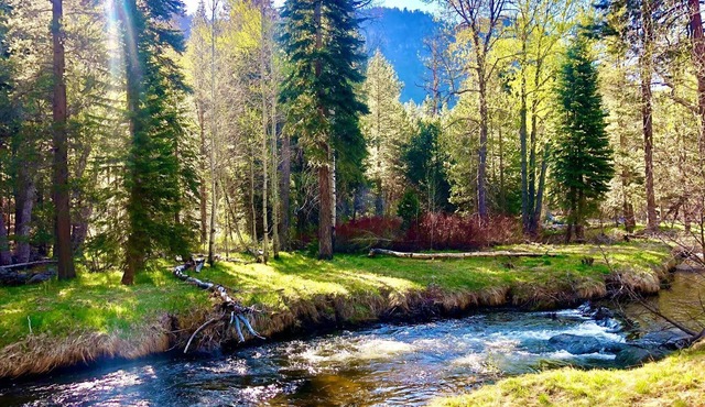A Quintessential River Cabin LX45