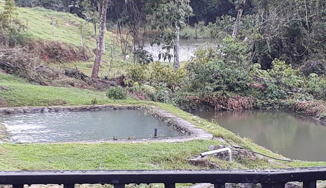 Agua Azul Lodging