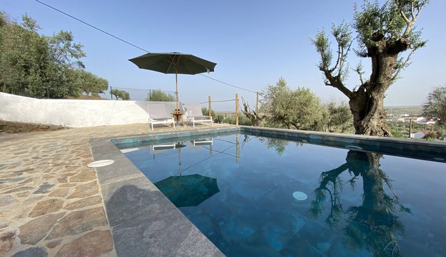 Alentejo house with pool
