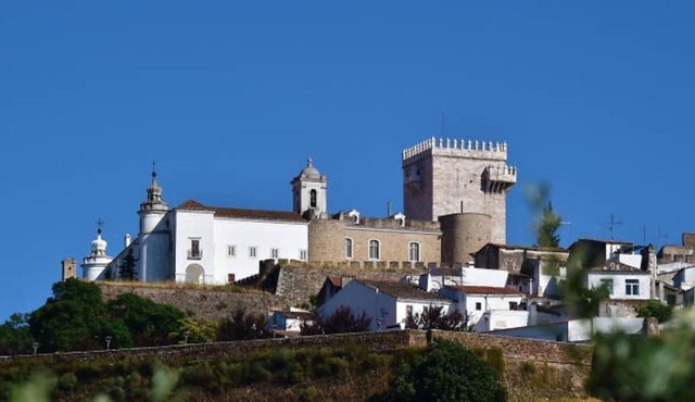 Apartment 'Casa Do Morgado Do Casco' with Wi-Fi and Air Conditioning