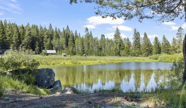 Awesome Cabin With A View! 3 Bedroom Cabin by Redawning