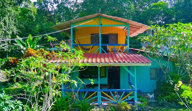 Beach villa w/fiber optic internet- Steps to beach with garden full of wildlife!