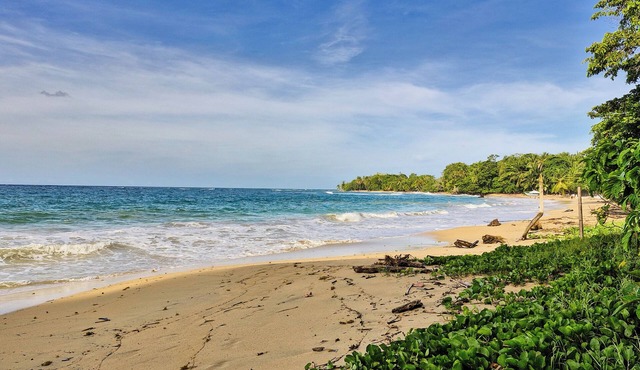 Beachfront Rincón Mágico