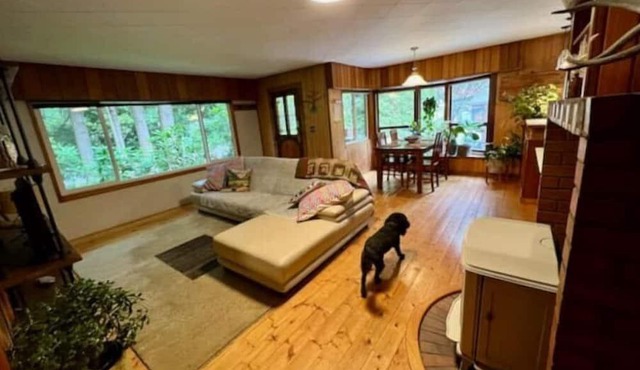 Beautiful Downtown 'Forest' Cabin with hot tub