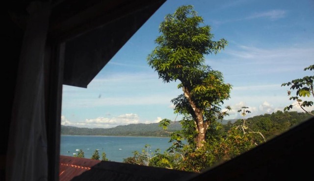 Beautiful house with panoramic view of the bay and gardens