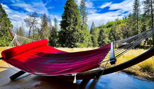 Bigfoot Suite - Dog Friendly - Sleeps 4