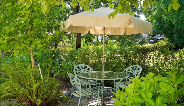 Blue Room | Steps to Wine & Food, Dogs Welcome!