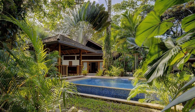 Bodhi House. Tropical balinese style house